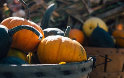 How To Give Thanks When Life Is Hard