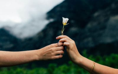 What The Heck Is Giving Tuesday & Why Does It Matter?
