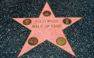What To Do Until You’re Famous